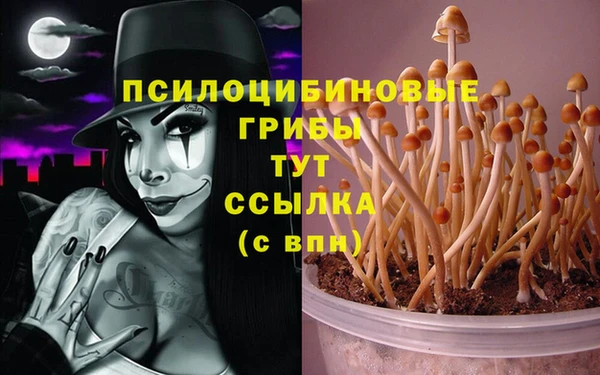 экстази Медногорск