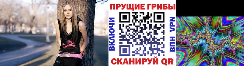 дарнет шоп  Сорск  Псилоцибиновые грибы мухоморы 