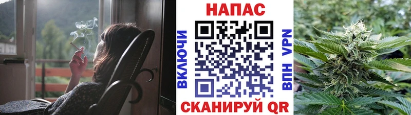 купить наркотик  Сорск  гидра как войти  Бошки Шишки OG Kush 